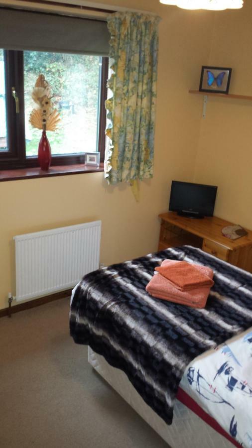 Fernlea Homestay Aberystwyth Exteriör bild